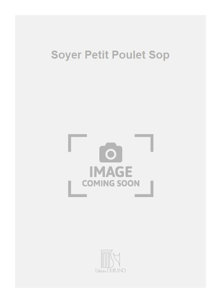 Soyer Petit Poulet Sop